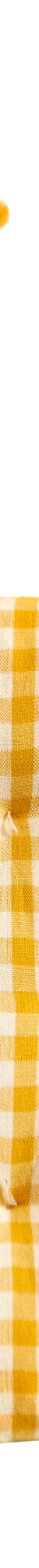 Galette de chaise carrée petits carreaux - lot de 2 (jaune) Galette de chaise carrée petits carreaux - lot de 2 (jaune)